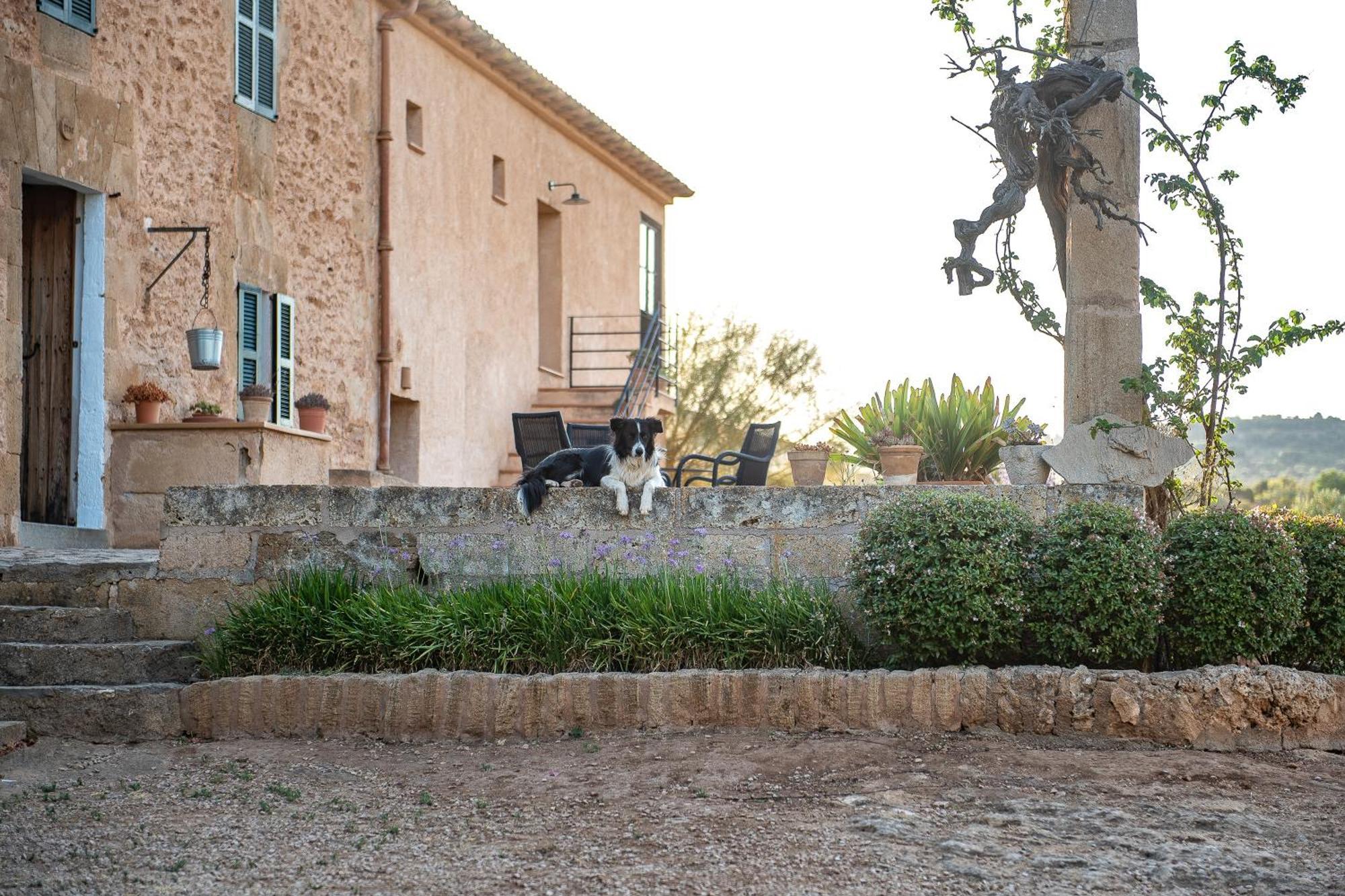 Séjour à la campagne Sos Ferres D'en Morey *