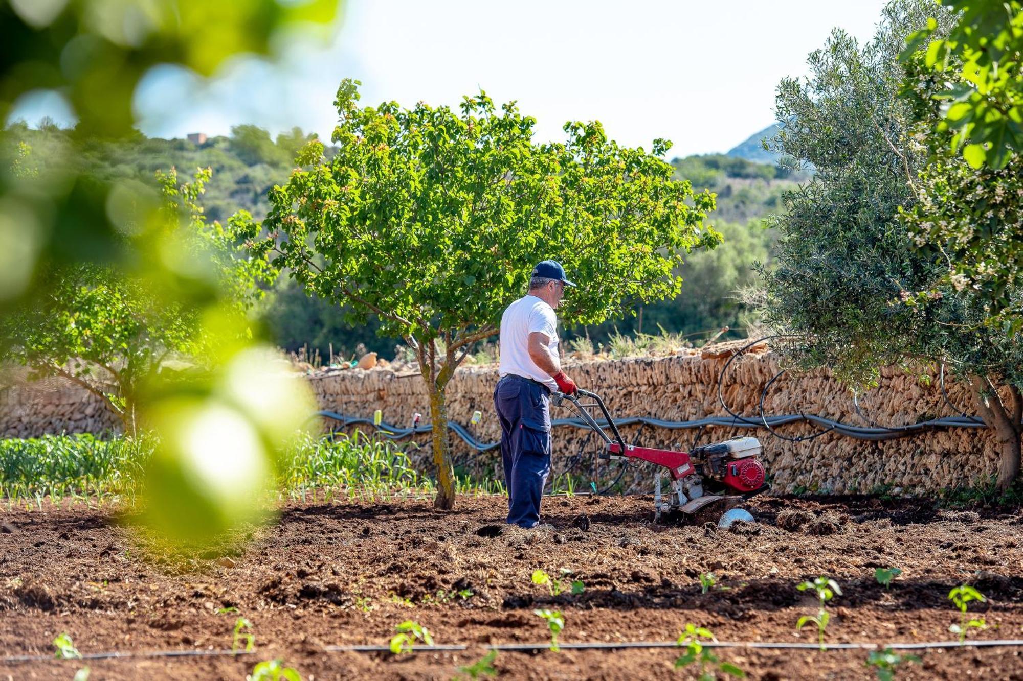 Séjour à la campagne Sos Ferres D'en Morey *